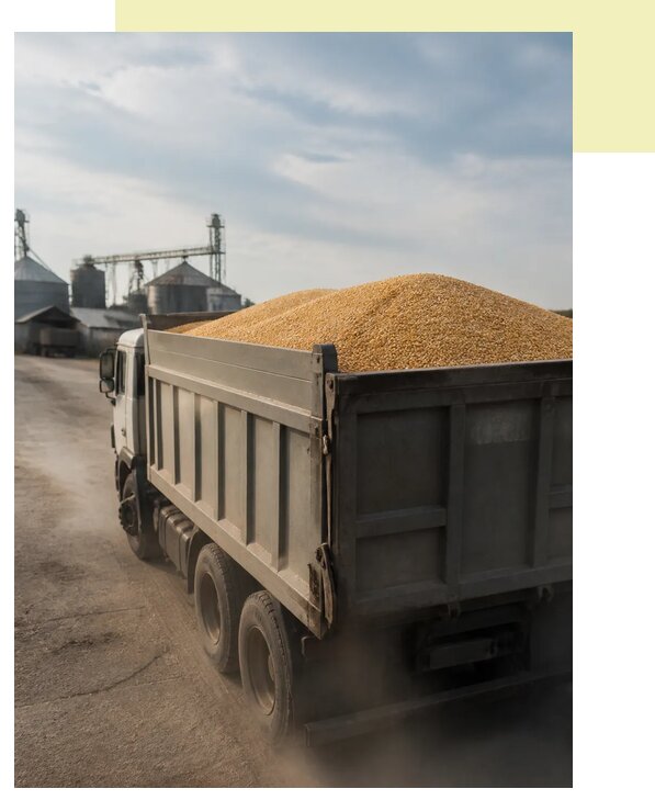 Перевозка сельхозпродукции навалом в Прокопьевск по цене от 3101 р. | Агросервис-Прк
